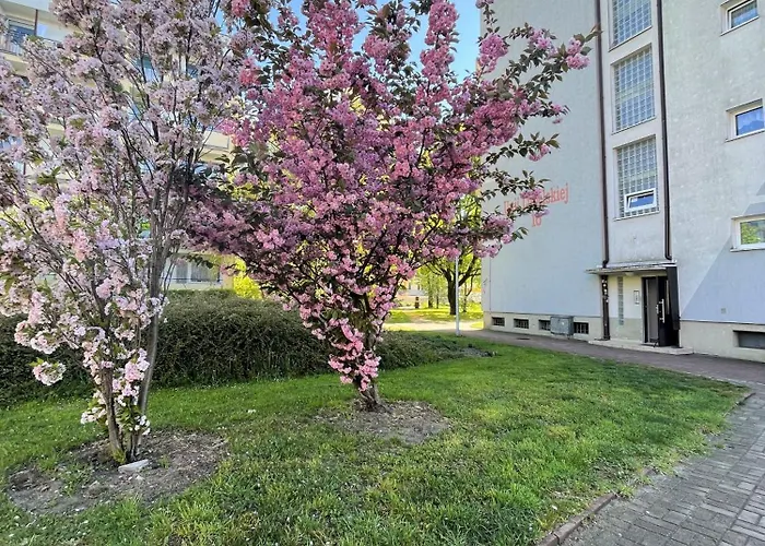 Al-dom Apartamenty Apartament II Mare 500m do morza